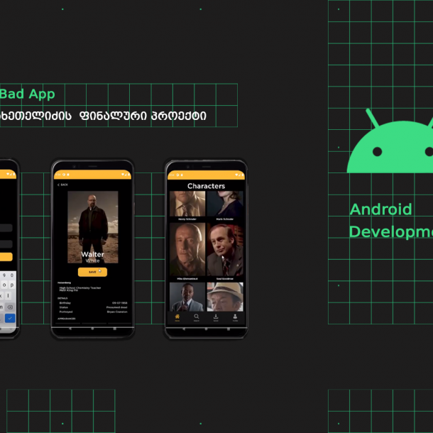 android development კურსდამთავრებულები