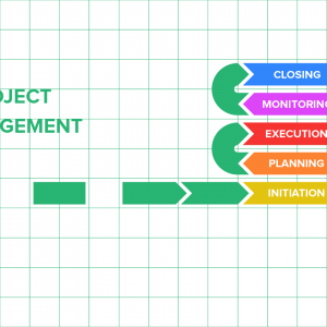 IT Project Management