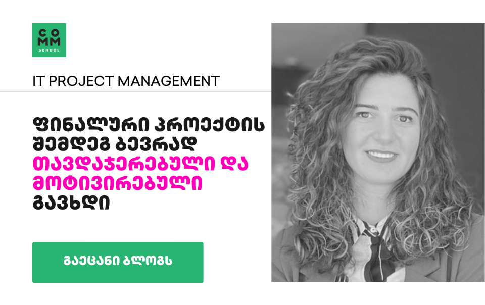 IT Project Management meri makarashvili