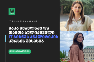 it busines analysis maka gubeladze tamta suliashvili