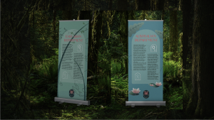 10-batumi-botanical-garden-branding-concept