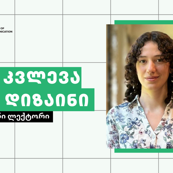 UX კვლევა და დიზაინი სალი მაზანაშვილი